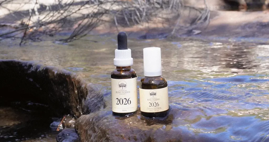 Die 2026 Essenz: Numerologisches Jahr 1 & neue Ausrichtung (Australische Buschblüten Essenzen)