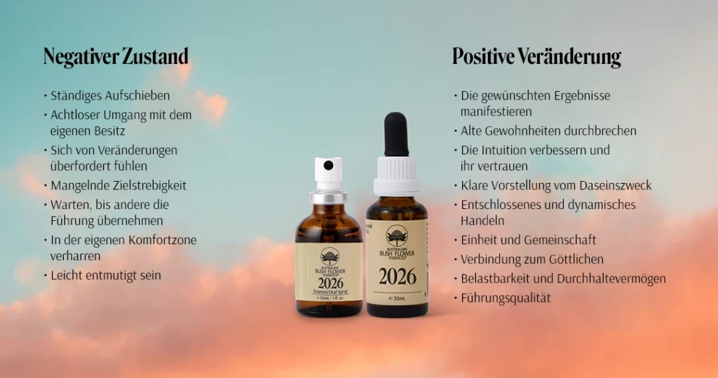 Die 2026 Essenz: Numerologisches Jahr 1 & neue Ausrichtung (Australische Buschblüten Essenzen)
