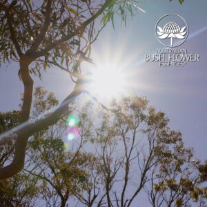 Mehr über den Artikel erfahren Die 2026 Essenz: Numerologisches Jahr 1 & neue Ausrichtung