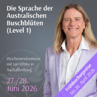 Die Sprache der Australischen Buschblüten – Level 1 Seminar in Aschaffenburg