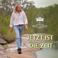 Ians Video Newsletter zur Jahresessenz 2026