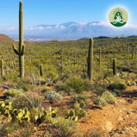 Einladung zur Veränderung: Bewusstsein, Gefühl und Wahrheit