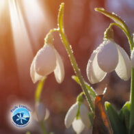 Erhelle dein Leben – die Magie eines bewussten, erfüllten Lebens