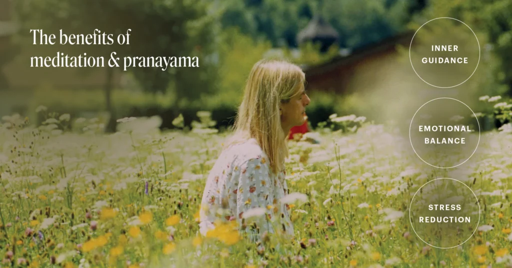 Navigiere klar und zielgerichtet durch das Jahr 2026 (Australische Buschblüten Essenzen)