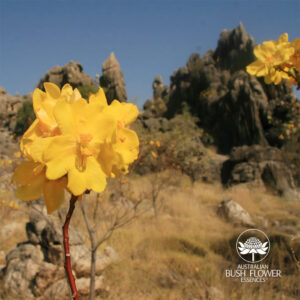 Mehr über den Artikel erfahren Navigiere klar und zielgerichtet durch das Jahr 2026