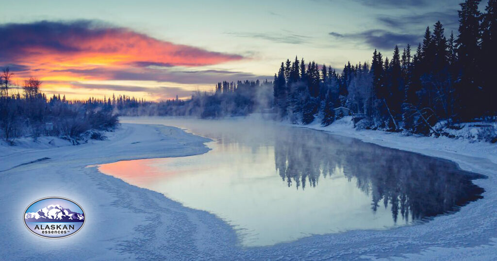 Widerstände lösen und Energie wiederherstellen (Alaskan Essences)