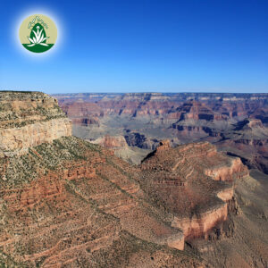 Mehr über den Artikel erfahren Loslassen, wachsen, vertrauen: Desert Alchemy Essenzen für deinen nächsten Schritt