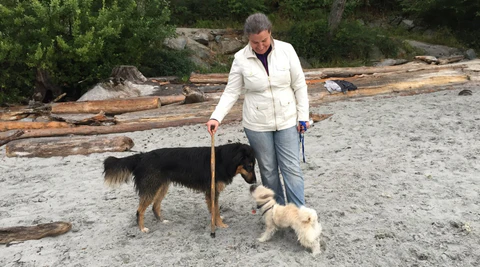 Dem Herzen folgen – Eine Reise zurück nach Hause (Pacific Essences)