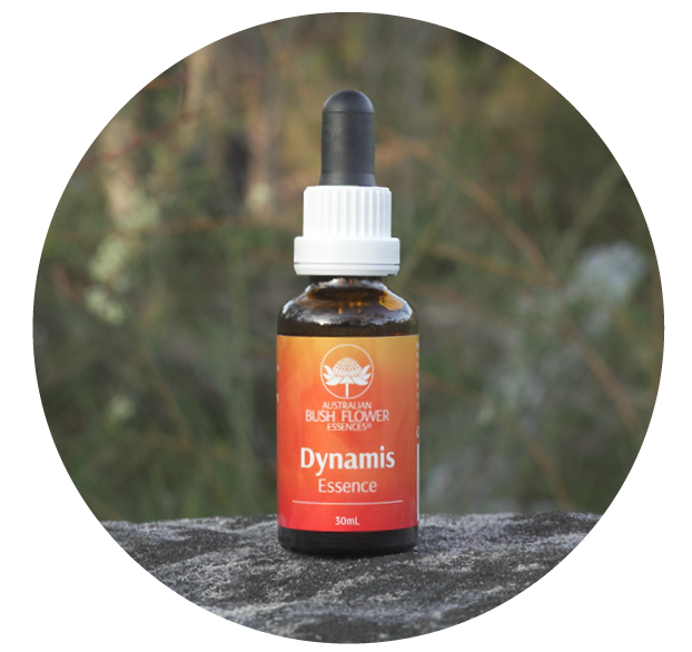 Dynamis Essence (Australische Buschblüten Essenzen)