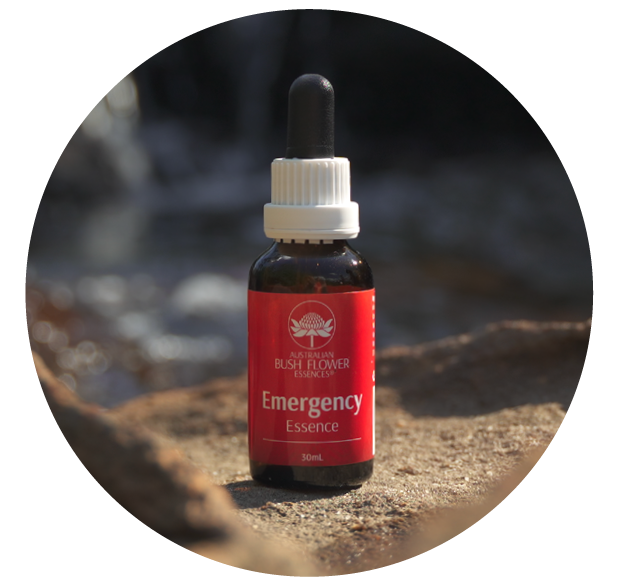 Emergency Essence (Australische Buschblüten Essenzen)