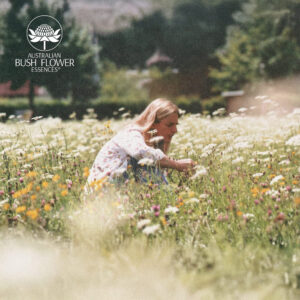 Mehr über den Artikel erfahren 40 Jahre Australische Buschblüten Essenzen