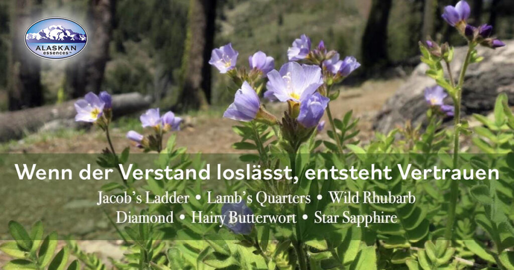 Steves Vermächtnis und sechs Essenzen für Vertrauen (Alaskan Essences)