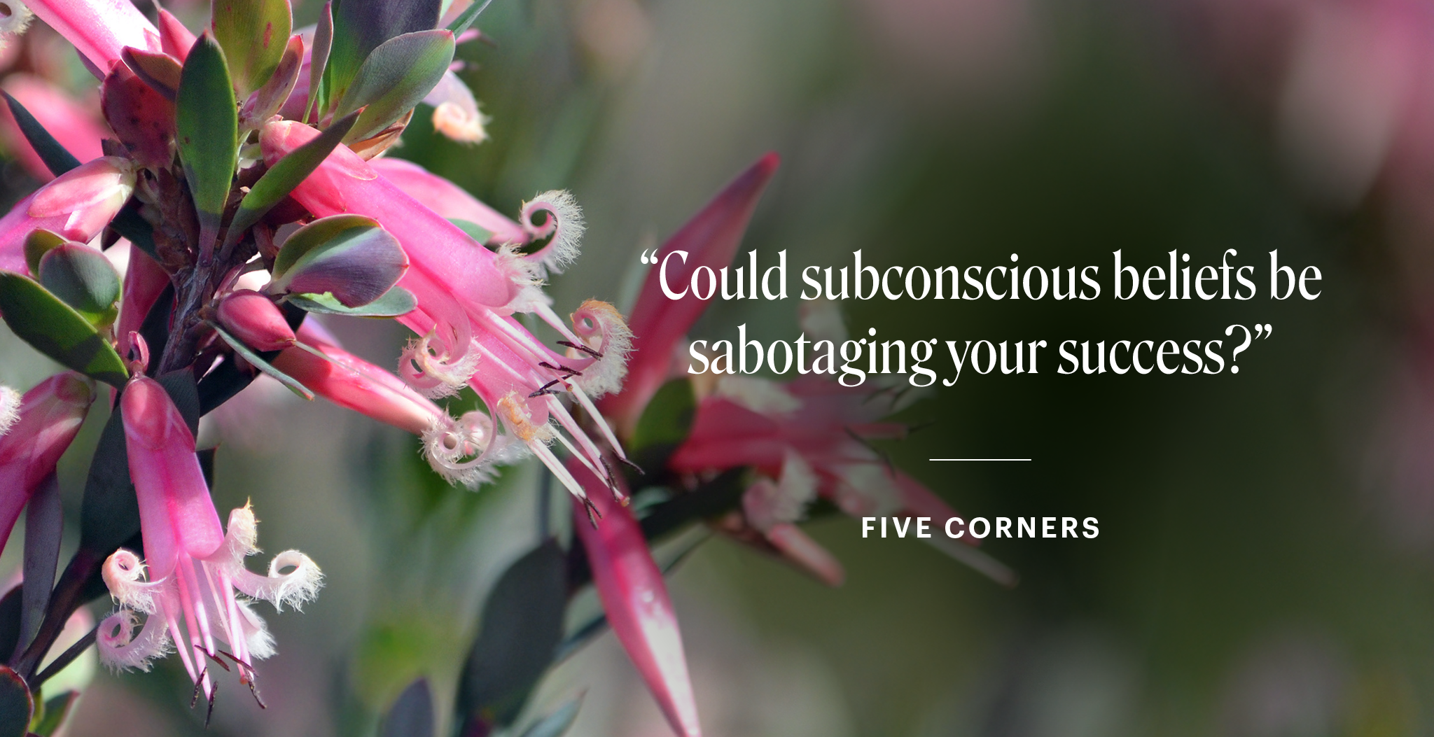 Rosa Blütenzweig mit grünem Laub und dem Text „Could subconscious beliefs be sabotaging your success?“