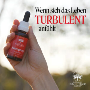 Mehr über den Artikel erfahren Wenn sich das Leben turbulent anfühlt | Emergency Essence