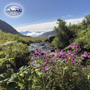 Mehr über den Artikel erfahren Freunde dich mit deinem Körper an