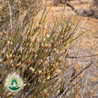 Innere Führung, Zuversicht und tiefes Verstehen
