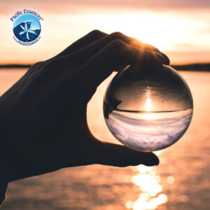 Mehr über den Artikel erfahren Kultiviere deine Neugier