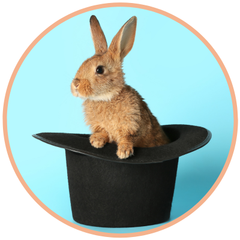 Kaninchen in einem Zylinderhut – ein klassisches Zaubermotiv