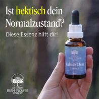 Calm & Clear: Warum Abschalten so schwerfällt