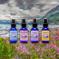 Space Clearing mit Alaskan Essences Raumsprays