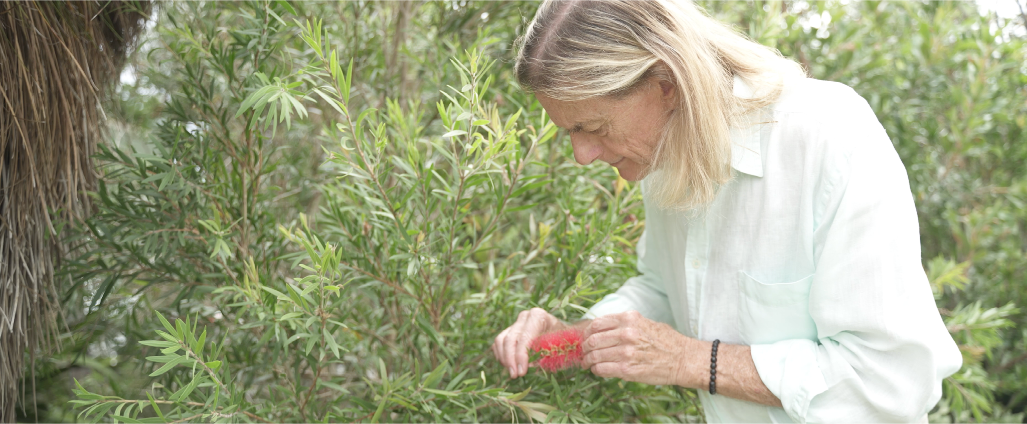 Ian White betrachtet in einem grünen Garten eine rote, bürstenartige Blüte an einem Strauch.