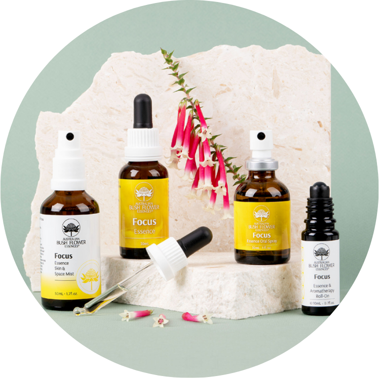 Focus Essence Produkte der Australischen Buschblüten Essenzen im runden Produktbild