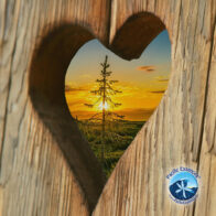 Heart Spirit: Zuhause im Herzen finden