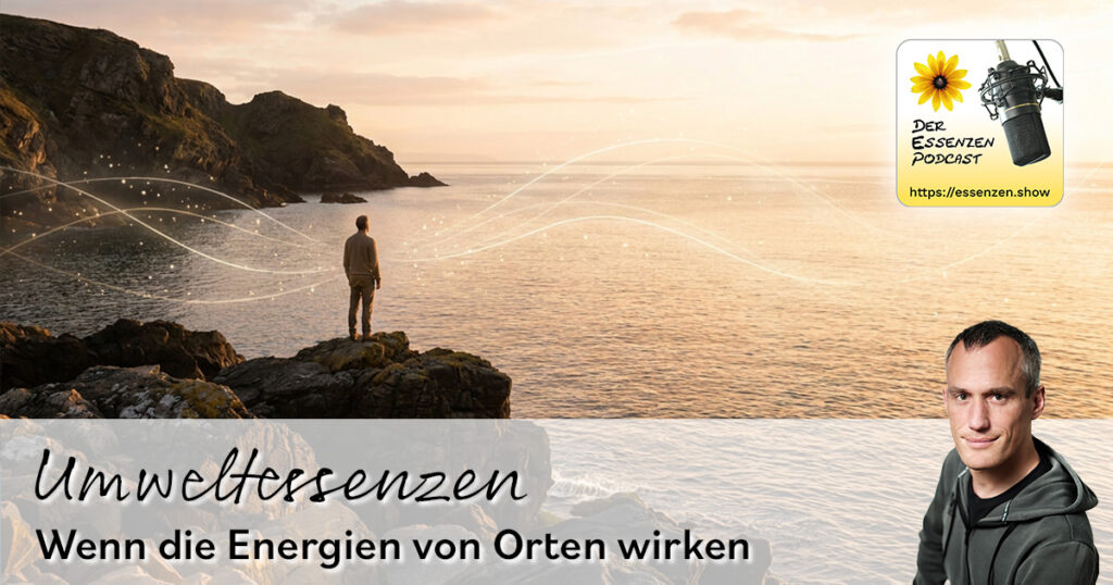 Umweltessenzen: Warum Kraftorte, Landschaften und Naturkräfte uns in Veränderungsprozessen unterstützen können