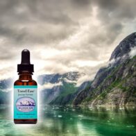 Travel Ease: ruhig und geerdet unterwegs