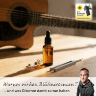 Warum wirken Blütenessenzen?
