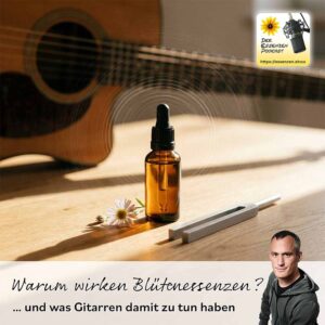 Mehr über den Artikel erfahren Warum wirken Blütenessenzen?