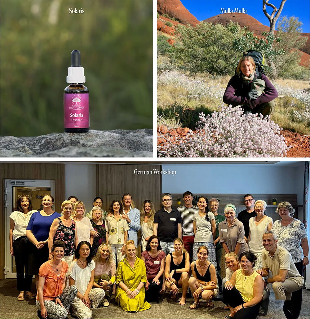 Solaris Essence, Mulla Mulla und Teilnehmer von Ian Whites Workshops in England und der Schweiz