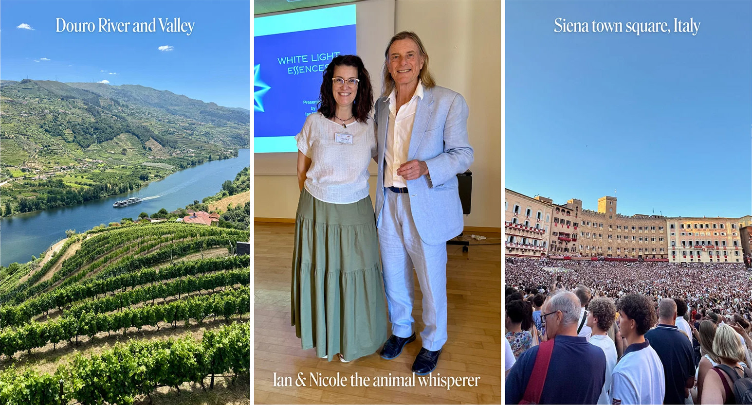 Douro-Tal, Ian White mit Tierkommunikatorin Nicole und der Platz von Siena