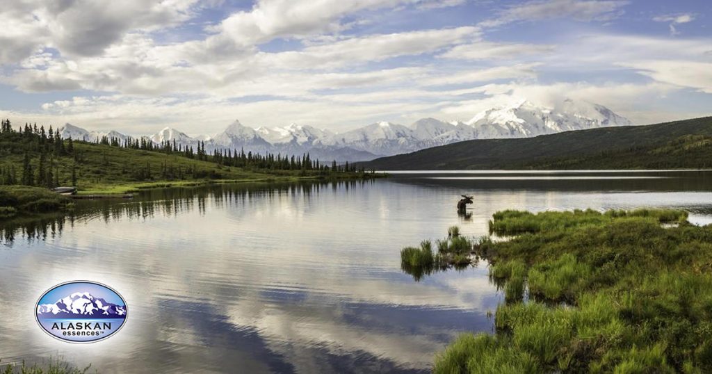 Innere Ausrichtung: Sechs Edelstein-Essenzen von Alaskan Essences