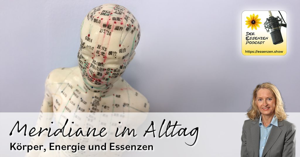 Meridiane im Alltag: Körper, Energie und Essenzen – Interview mit Katrin Remmelberger