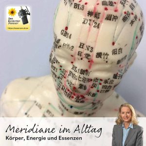 Mehr über den Artikel erfahren Meridiane im Alltag: Körper, Energie und Essenzen