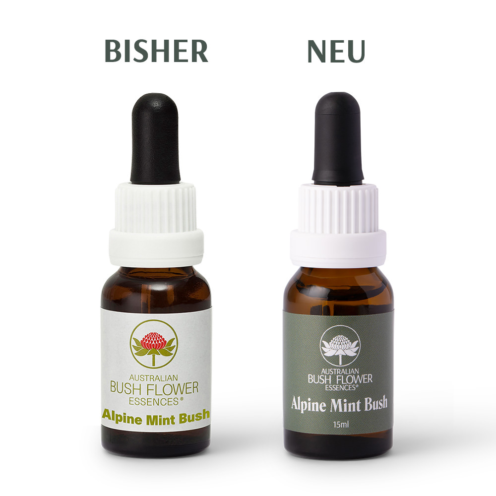 Altes weißes und neues grünes Etikett der Alpine Mint Bush Buschblüten Essenz