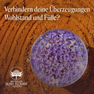 Mehr über den Artikel erfahren Überwinde einschränkende Überzeugungen | Abund Essenz